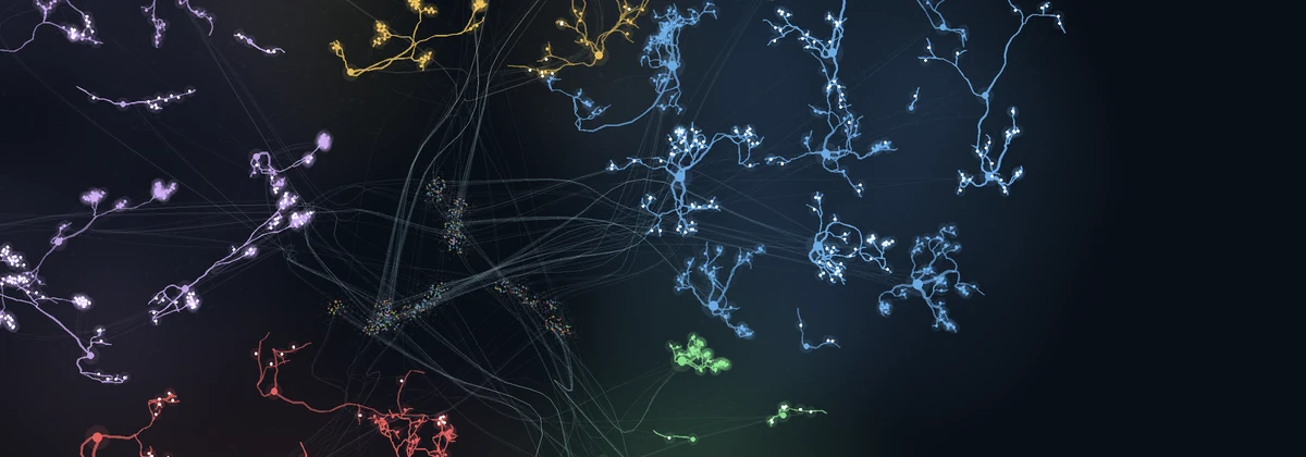 Mapa de aprendizaje neuronal: el banco dibujado como tejido nervioso